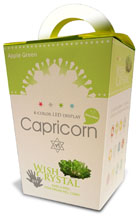 Horoscope Crystals Capricorn Horoscope Crystals Capricorn